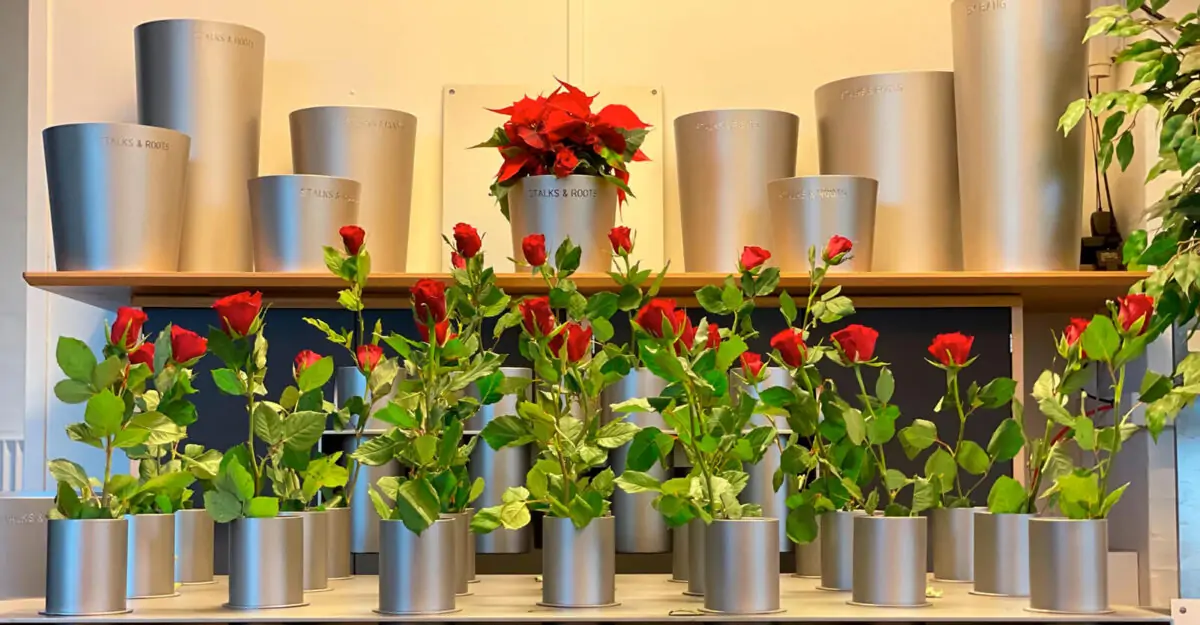 en række krukker i rustfrit stål med mange holdere til blomsterstilke