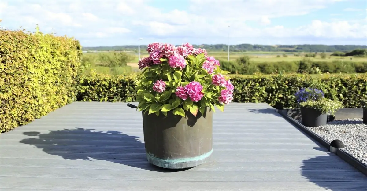 Terrassebelægning med genbrugsplast planker